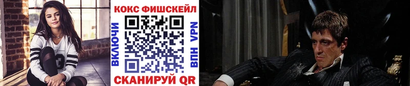 закладка  Маркс  КОКАИН Эквадор 