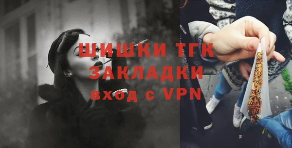гашик Белоозёрский