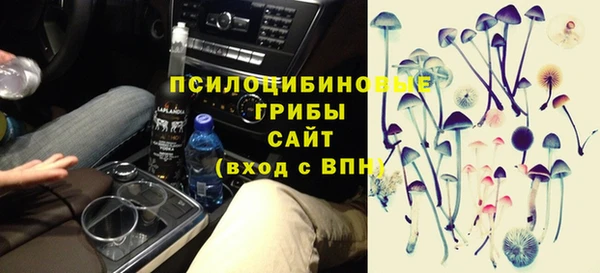 мдпв Белокуриха